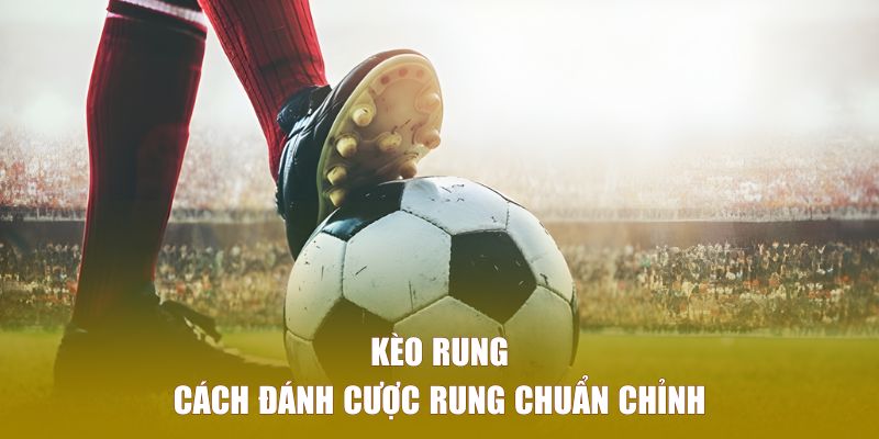 Cách đánh cược rung chuẩn chỉnh